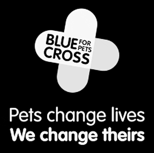 Blue Cross logo