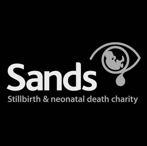 SANDS logo